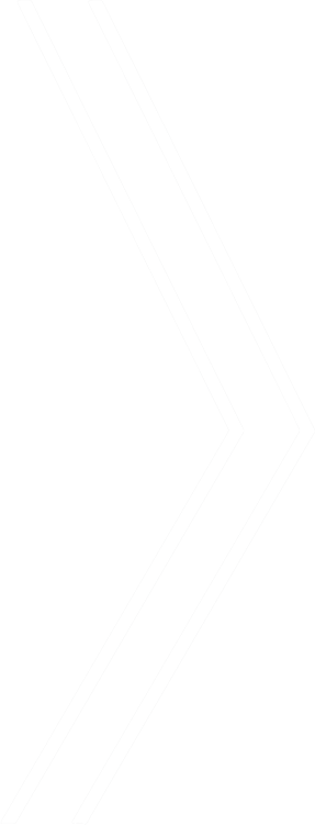Z + O